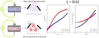 Graphical abstract: Unveiling the restricted mobility of carbon nanotubes inside a long chain branched polymer matrix via probing the shear flow effects on the rheological and electrical properties of the filled systems