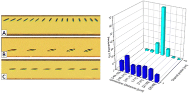 Graphical abstract: Dynamics of non-spherical particles in viscoelastic fluids flowing in a microchannel