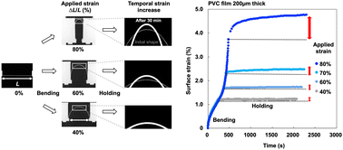 Graphical abstract: Bending creep behaviour of various polymer films analysed by surface strain measurement