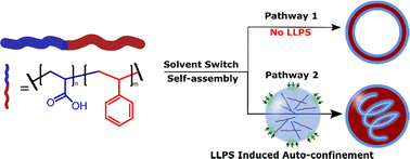 Graphical abstract: Liquid–liquid phase separation induced auto-confinement