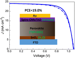 Graphical abstract: Green solvents processed all functional layers for efficient perovskite solar cells