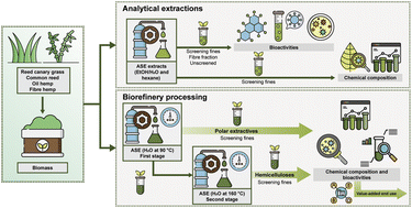 Graphical abstract: Chemical composition and bioactivity of hemp, reed canary grass and common reed grown on boreal marginal lands