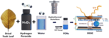 Graphical abstract: Hydrogen peroxide assisted synthesis of fluorescent carbon nanoparticles from teak leaves for dye-sensitized solar cells
