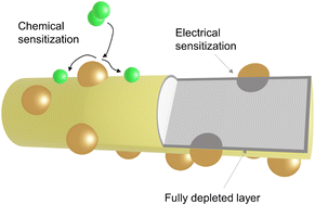 Graphical abstract: Enhanced sensitivity towards hydrogen by a TiN interlayer in Pd-decorated SnO2 nanowires