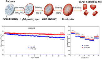 Graphical abstract: An in situ formed inorganic conductive network enables high stability and rate capability of single-crystalline nickel-rich cathodes