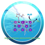 Graphical abstract: Enhancing the electrostatic potential difference of high entropy perovskite fluorides by ligand modification for promoted dynamic reconstruction