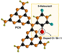 Graphical abstract: Counterion chemistry of 5-halo (X: Cl, Br, I)-uracil derived carbon nitride: unlocking enhanced photocatalytic performance