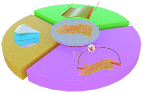 Graphical abstract: An ultrafine spider-like carbon nanonet for high performance air filters, health monitoring sensors, and green energy generators