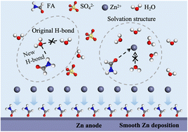 Graphical abstract: Solvation structure regulation of an organic small molecule additive for dendrite-free aqueous zinc-ion batteries