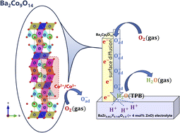 Graphical abstract: A new layered barium cobaltite electrode for protonic ceramic cells