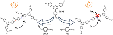 Graphical abstract: One-step synthesis of a highly crystalline covalent organic framework with olefin and imine dual linkages for tuning the catalytic activity
