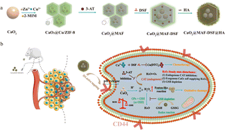 Graphical abstract: pH-responsive nanocatalyst for enhancing cancer therapy via H2O2 homeostasis disruption and disulfiram sensitization