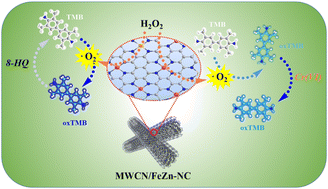 Graphical abstract: Atomically dispersed Fe–Zn dual-site nanozymes with synergistic catalytic effects for the simultaneous detection of Cr(vi) and 8-hydroxyquinoline