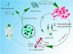 Graphical abstract: A carbon dot-doped Cu-MOF-based smart nanoplatform for enhanced immune checkpoint blockade therapy and synergistic multimodal cancer therapy