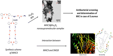 Graphical abstract: Synthesis, nanostructuring and in silico studies of a new imine bond containing a macroheterocycle as a promising PBP-2a non-β-lactam inhibitor