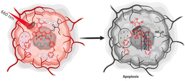 Graphical abstract: Far-red BODIPY-based oxime esters: photo-uncaging and drug delivery