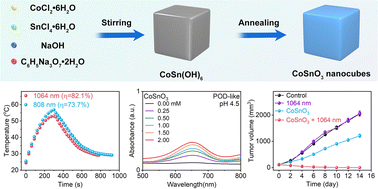 Graphical abstract: An NIR-II-photoresponsive CoSnO3 nanozyme for mild photothermally augmented nanocatalytic cancer therapy