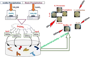 Graphical abstract: Investigating the effect of acidic and basic precipitation on the antibacterial activity of ZnO nanoparticles against Gram-negative and Gram-positive bacteria