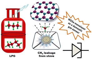 Graphical abstract: Role of defect engineering in revealing the electronic and sensing applications of Janus WSSe monolayer