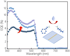 Graphical abstract: Surface-passivated MAPbBr3 microwire with enhanced stability and suppressed ion migration