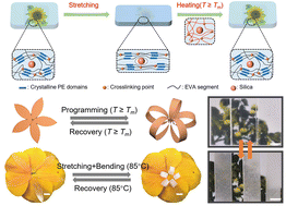 Graphical abstract: Dual manipulation of light and shape based on nanoparticle-induced shape memory composites