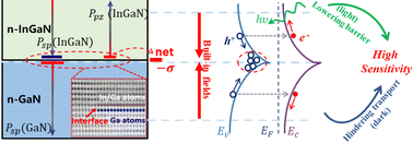 Graphical abstract: An ultrahigh performance InGaN/GaN visible-light phototransducer based on polarization induced heterointerface barrier and minority carrier localization