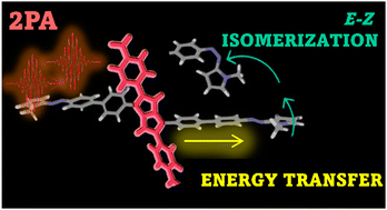 Graphical abstract: Non-linear photo-switching in molecular actuators through intra-molecular energy transfer from an electron donating core