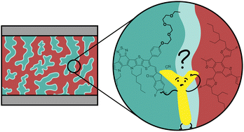 Graphical abstract: The challenge with high permittivity acceptors in organic solar cells: a case study with Y-series derivatives