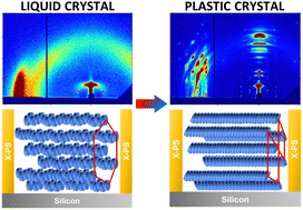 Graphical abstract: Crystalline solid retains memory of anisotropy in precursor liquid crystalline phase