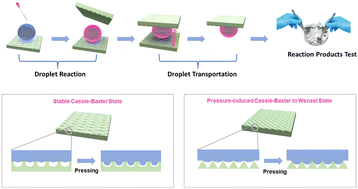 Graphical abstract: Stretchable superhydrophobic elastomers with on-demand tunable wettability for droplet manipulation and multi-stage reaction