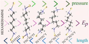 Graphical abstract: Engineering anomalous elastic properties of coordination polymers and their amorphization by employing flexible linkers