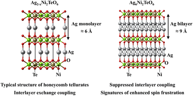 Graphical abstract: Antiferromagnetic ordering and signatures of enhanced spin-frustration in honeycomb-layered tellurates with Ag bilayers