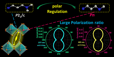 Graphical abstract: Amplification of polarization ratio is observed in monolayer Dion–Jacobson hybrid perovskites