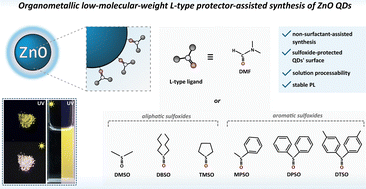 Graphical abstract: Organometallic one-pot synthesis of ZnO quantum dots coated by sulfoxides as L-type ligands