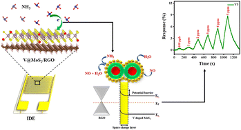 Graphical abstract: Edge sites enriched vanadium doped MoS2/RGO composites as highly selective room temperature ammonia gas sensors with ppb level detection