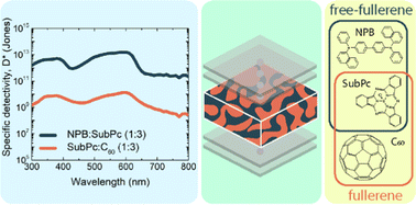 Graphical abstract: Vacuum-deposited organic photodetectors utilizing non-fullerene acceptors for enhanced detectivity in the green visible light spectrum