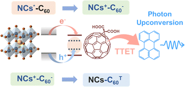 Graphical abstract: Electron transfer-mediated triplet sensitization from CsPbI3 nanocrystals to fullerene for photon upconversion