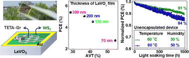 Graphical abstract: Highly stable semitransparent solar cell employing graphene/WS2/LaVO3 vertical-heterostructure