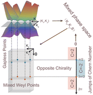 Graphical abstract: A mixed Weyl semimetal in a two-dimensional ferromagnetic BaCrSe2 monolayer