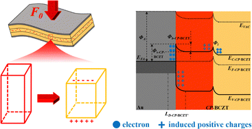 Graphical abstract: Achieving low energy consuming bio-based piezoelectric nanogenerators via modulating the inner layer thickness for a highly sensitive pedometer