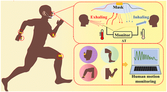 Graphical abstract: Temperature- and pressure-sensitive ionic conductive elastomer for respiratory monitoring and human motion sensing