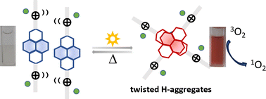 Graphical abstract: Unprecedented light induced aggregation of cationic 1,4,5,8-naphthalenediimide amphiphiles