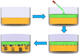 Graphical abstract: Interfacial diffused reaction at two-phase solution induced crystallization for high-quality perovskite single crystals