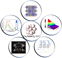 Graphical abstract: Near-infrared Cr3+-doped lead-free halide perovskite microcrystals for information encryption and temperature thermometry