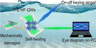 Graphical abstract: Stable and self-healing perovskite for high-speed underwater optical wireless communication
