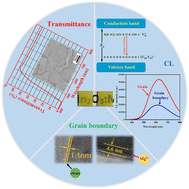 Graphical abstract: Insights into the roles of the MgO additive in crystal structures, sintering behaviors, and optical properties of transparent In2O3 semiconductor ceramics