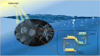 Graphical abstract: Photocatalytic activity and pH-induced morphological changes of ZnO/CuO nanocomposites prepared by chemical bath precipitation