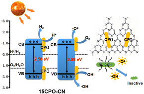 Graphical abstract: Construction of Co3(PO4)2/g-C3N4 nanowire composites to boost visible-light-driven photocatalysis