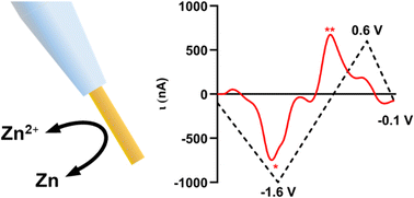 Graphical abstract: Plasma-treated gold microelectrodes for subsecond detection of Zn(ii) with fast-scan cyclic voltammetry