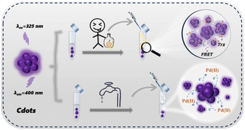 Graphical abstract: Preparation and utilization of carbon dots as a nanoprobe for sensitive detection of tartrazine and palladium (ii)